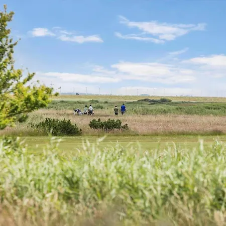 2801-romo-helmusager-4 * Molby